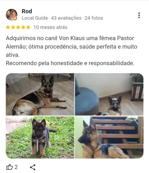 Depoimentos de Clientes