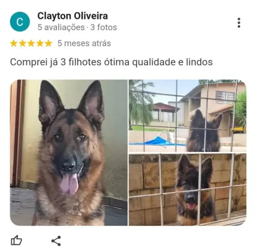 Depoimentos de Clientes
