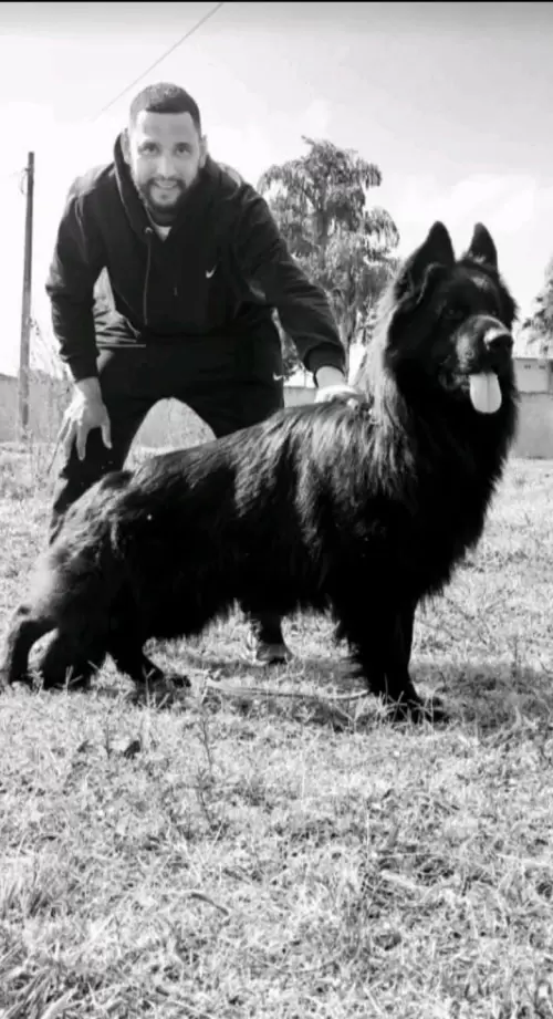 Família Von Klaus