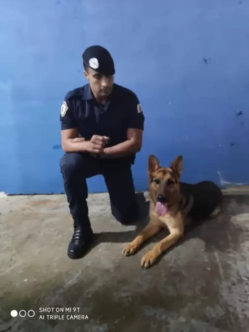 Família Von Klaus