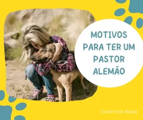 Família Von Klaus