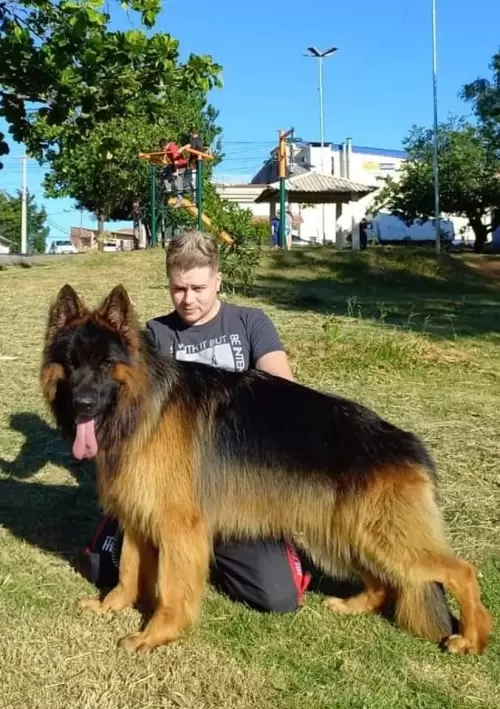Família Von Klaus