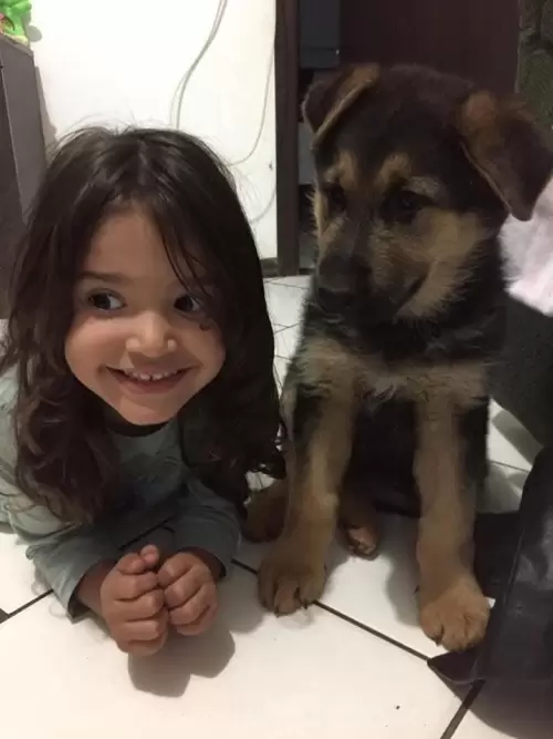 Família Von Klaus